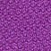 19紫